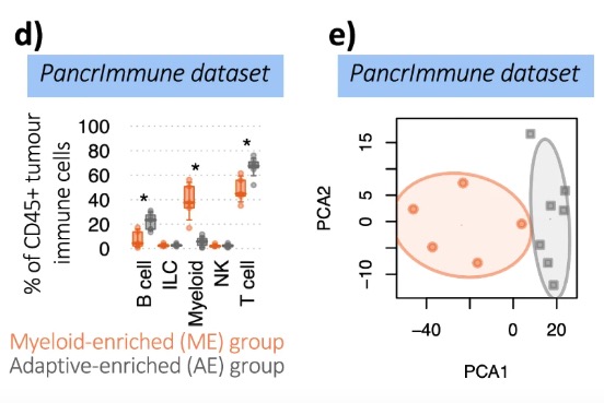 Distinct immune cell infiltration patterns in pancreatic ductal adenocarcinoma PDAC exhibit divergent immune cell selection and immunosuppressive mechanisms