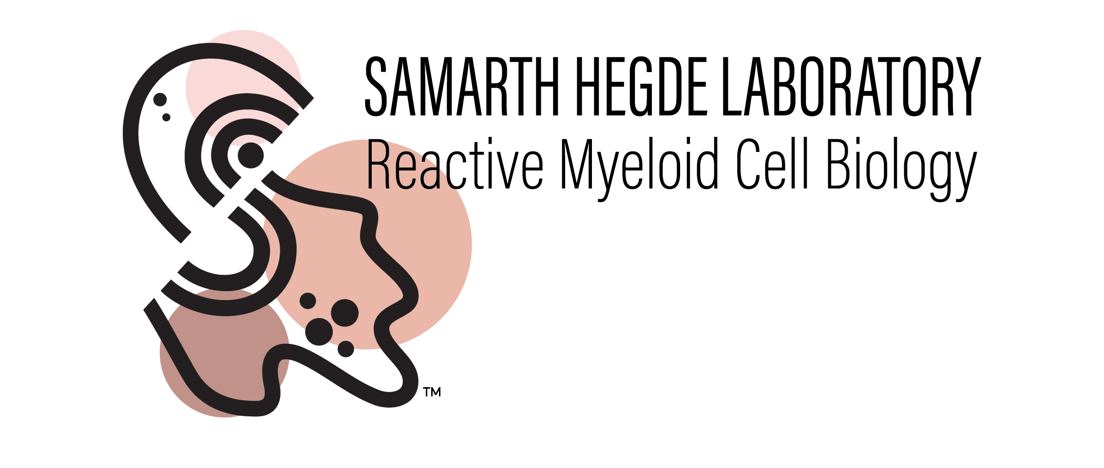 Lab is active